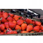 Event Stage Full color 320*160mm P2.5 GOB LED Display Indoor Waterproof Led Screen Panel for sale