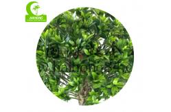 China Anti Fading Aesthetic 110cm Artificial Podocarpus Tree With Pot supplier