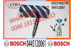 China Diesel fuel injector Common rail Injector 0445120061 Diesel engine parts 0445120061 supplier