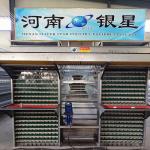 Commercial 5000pcs/Layer Zn Al Steel Poultry Egg Collection System 100mm Width for sale