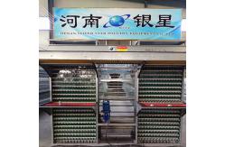 China Commercial 5000pcs/Layer Zn Al Steel Poultry Egg Collection System 100mm Width supplier