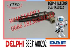 China Fuel Injector Assembly BEBJ1A05002 BEBJ1A00202 BEBJ1A05001 1905001 1846419 1905002 supplier