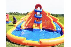 China ODM Outdoor Inflatable Water Slides Palm Tree Bouncy Castle supplier