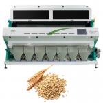 Wenyao Intelligent 7 Chute Color Separation Machine Wheat Color Sorter for sale