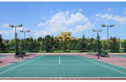 China Professional Silicon PU Elastic Layer Futsal Basketball Courts Sports Surface Flooring supplier