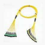 1M MPO Fanout Cable for sale