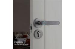 China Black Gold Smart Lock Unlock Ble App Controlled Front Door Lock supplier