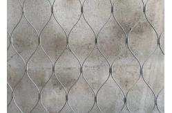China 2.0mm Thickness Ss 316 Zoo Wire Mesh Stainless Steel Rope Mesh supplier
