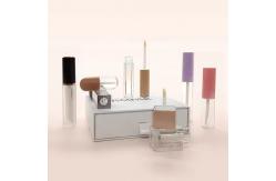 China Empty Big Brush Lip Tint Bottle Customized Logo Free Samples Lip Gloss Containers supplier