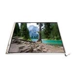 LTM14C501L 14.1 Inch  TFT-LCD Screen Module For Laptop for sale