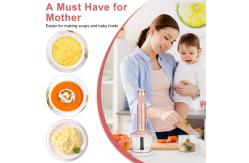 China Powerful House Stick Blender 5 In 1 Immersion Hand Blender supplier