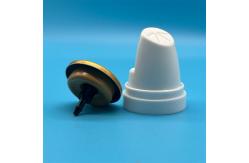 China Hair Mousse Aerosol Pump for Curly Hair - Defined Curls, Smooth Application supplier