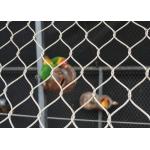 Woven AISI 316 Aviary Wire Netting Horizontal / Vertical Flexible Mesh For Birds for sale