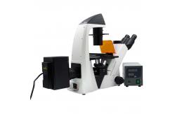 China Binocular Wide Field Fluorescence Microscopy A16.2614 40X - 1600X Magnification supplier