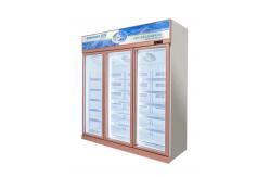China Upright Glass Door Freezer Frozen Display For Ice Cream Frozen Meat supplier
