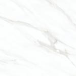 600X600 Standard Ceramic And Porcelain Tile  For Wall And Floor