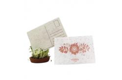 China Custom Paper Seed Embedded Cards Printed Plantable Herb Seed Paper supplier