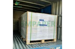 China 31inch 35inch  230gram 260gram PE Coated Cup Paper Roll For Coffee Cups supplier