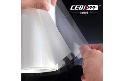 China TPU Films Transparent PPF Pro X15 Car Body Protect High Glossy Hydrophobicity supplier