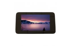 China High Brightness 1250cd LCD Touch Panel Display Original HSD070JWW-A20-T00 supplier