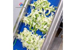 China Supermarket Fruit And Vegetable Processing Line Cutting Lifting Washing supplier