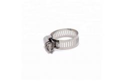 China Stainless Steel Quick Release Hose Clamp worm clamp supplier