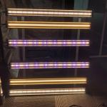 30w Indoor Garden T8 Lettuce Led Grow Strip For Tissue Culture Chambers for sale