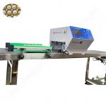 Tray Pad Egg Carton Printing Machine Date Egg Printer Machine 45000 Eggs/H for sale