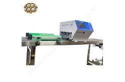 China Tray Pad Egg Carton Printing Machine Date Egg Printer Machine 45000 Eggs/H supplier