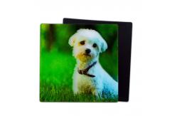 China Lovely Puppies 3D Magnets Lenticular 3D Fridge Magnet For Souvenir Gift supplier