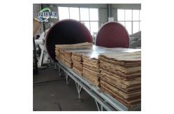 China Customizable Heating Source High Frequency Vacuum Wood Drying Kiln for Precise Drying supplier