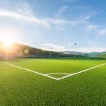 Professional Synthetic Artificial Wall Grass Decorative Fake Grass Outdoors for sale