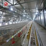 Q235 Bridge Steel Baby Chick Cage Layer Chicken Cage , SGS Manure Removing for sale