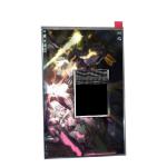 AUO 10.1 Inch B101QAN01.0 LCD Display Module For Pad and Tablet for sale
