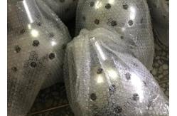 China 1.5 Inch Crystal Ball Water Fountain Jet DN40 Pressure 100Kpa supplier