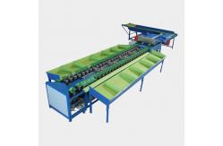 China Guava Pear Apple Orange Fruit Grading Machine supplier