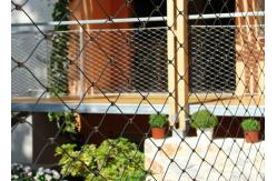 China Architectural Surface Stainless Steel Wire Rope Mesh Green Plant Climbing Wall Netting supplier
