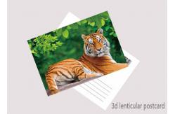 China Promotion Cartoon 3D Lenticular Postcard / Flip Lenticular Image Printing supplier