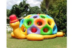 China Cartoon Tortoise Inflatable Bouncer Kids Jumping Castle Structures For Garden / Square supplier