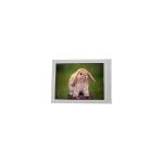 A035CN02 V4 3.5 inch 480*234 lcd display screen panel for sale