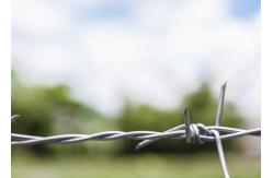 China Use Of Prison Walls Double Strand Traditional Twist Electro Barbed Wire Coils supplier