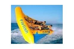 China Exciting Inflatable Flying Fish Boat for Entertainment , Easy To Set Up supplier
