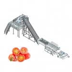 ISO9001 Fresh Tomato Processing Line For Concentrated Paste for sale