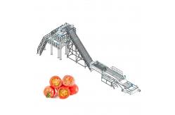 China ISO9001 Fresh Tomato Processing Line For Concentrated Paste supplier