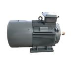 Vertical Wind Turbine PM Generator 220V 380V Natural Cooled for sale