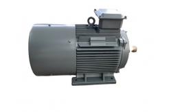 China Vertical Wind Turbine PM Generator 220V 380V Natural Cooled supplier