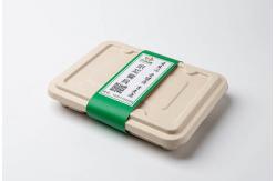 China One Time Use Dinner Plate Biodegradable Food Containers Compostable supplier