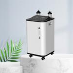 10 Inch Display Large Flow 10L Oxygen Generator Household Low Noise for sale