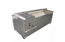 China 1.1KW Fruit Vegetable Processing Machine Potato Washing And Peeling Machine supplier