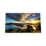 original 12.3 inch C123HAX04.5 1920*720 1300 cd/m2 LCD Display for sale